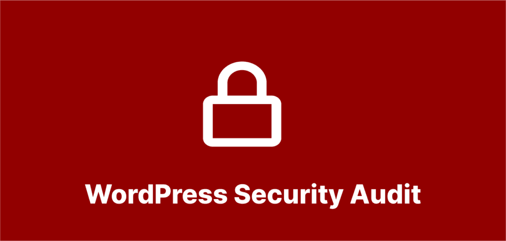 Set Up a WordPress Security Audit